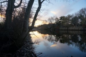 Wreck Pond Nature Perserve in Manasquan, NJ