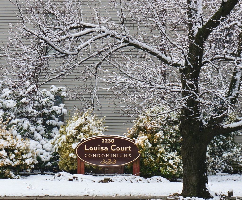 Louisa Court - Point Pleasant, NJ