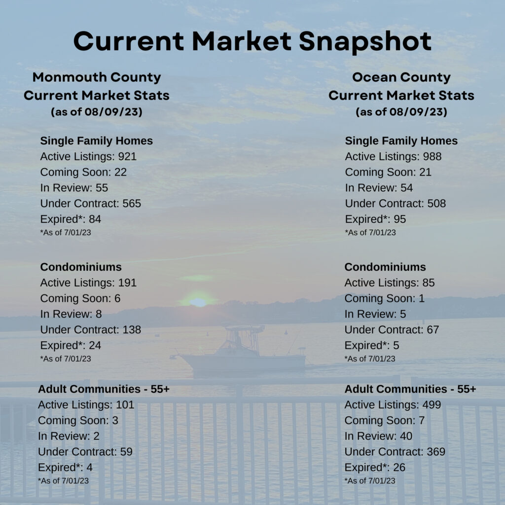 Current Market Snapshot - July 2023